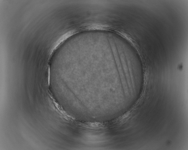 X0000115601219200912081105