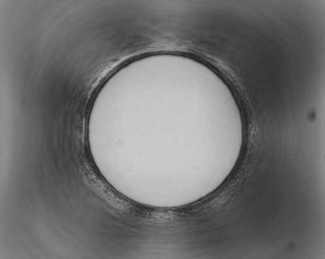 X0000115601220200912081105