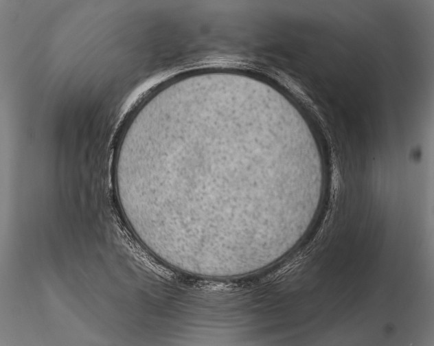 X0000115601222200912081105