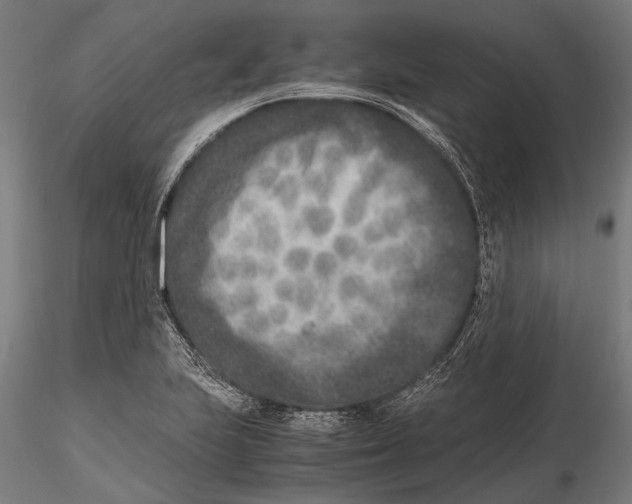 X0000115601223200912081106