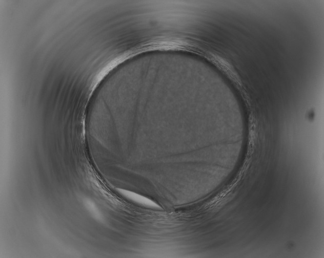 X0000115601226200912081106