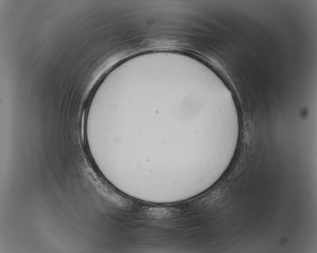 X0000115601227200912081106