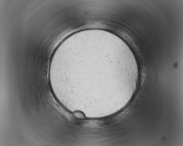 X0000115601228200912081106