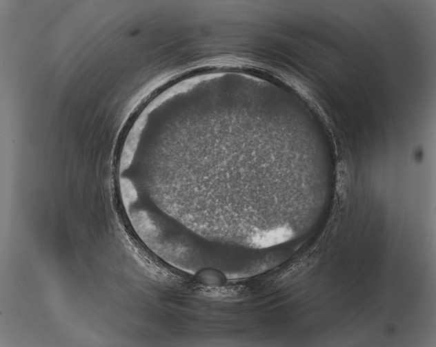 X0000115601229200912081106