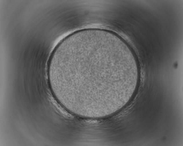 X0000115601230200912081106