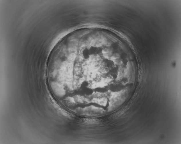 X0000115601231200912081106