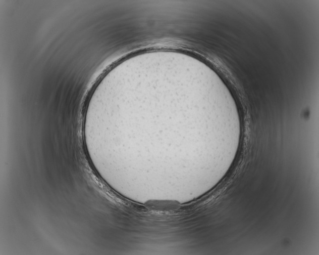 X0000115601232200912081106