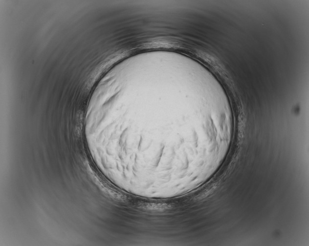 X0000115601233200912081106