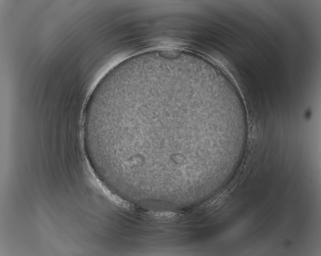 X0000115601235200912081106