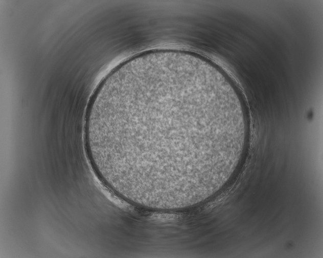 X0000115601237200912081106