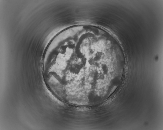 X0000115601239200912081106