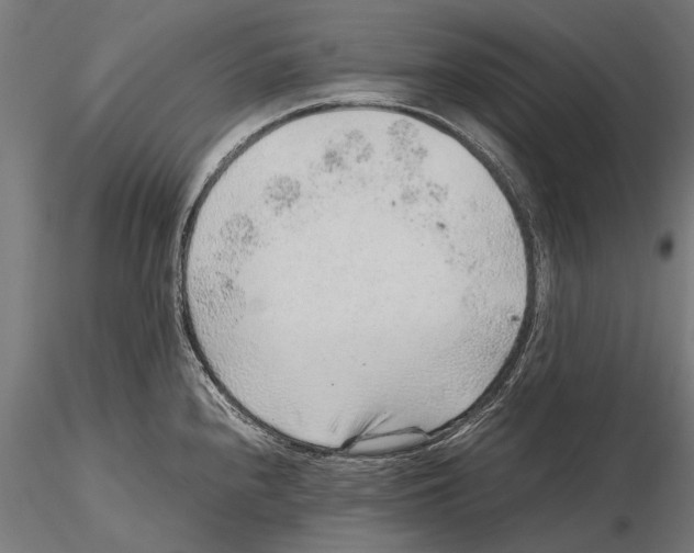 X0000115601240200912081106