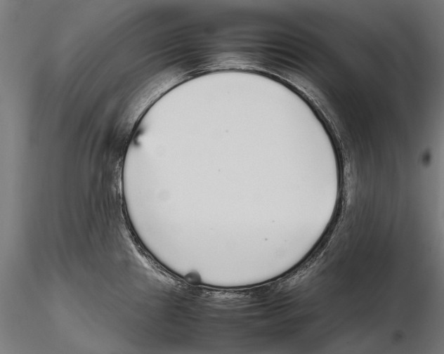 X0000115601241200912081106