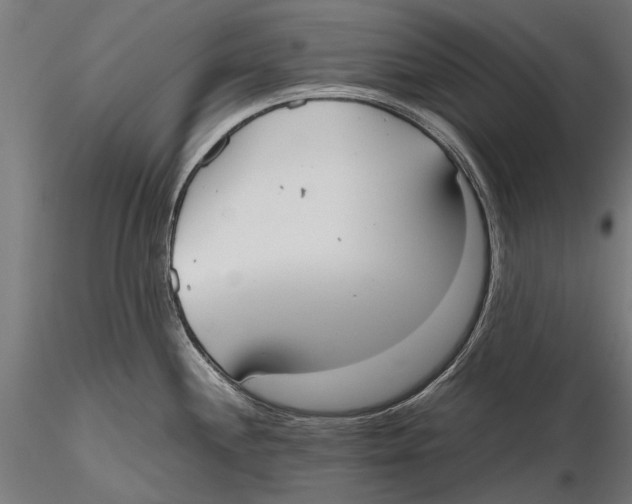 X0000115601244200912081106