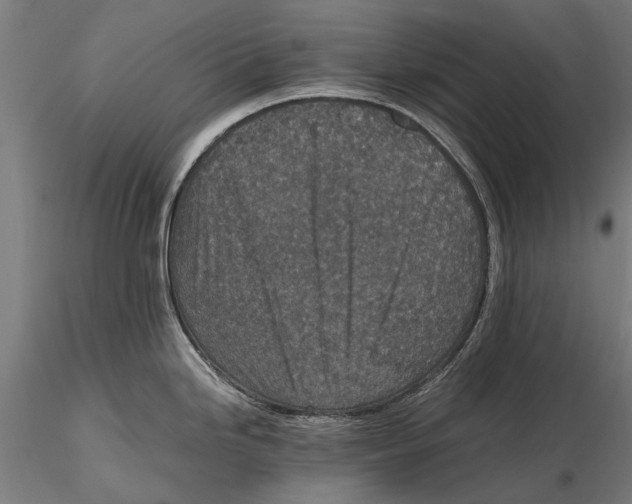 X0000115601246200912081106