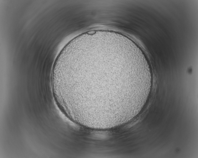 X0000115601247200912081106