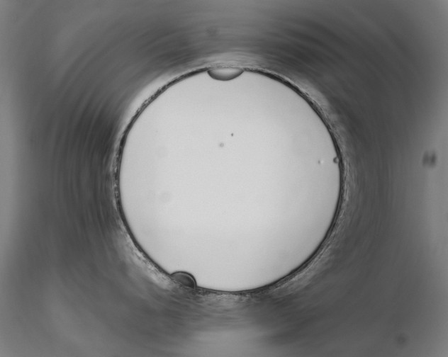 X0000115601248200912081106