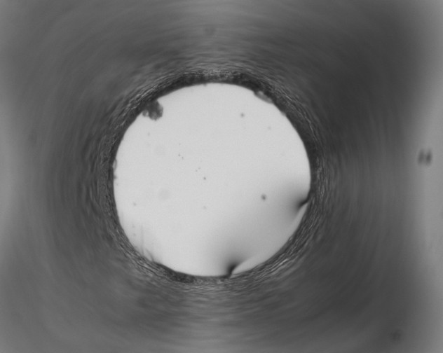 X0000115601249200912081105