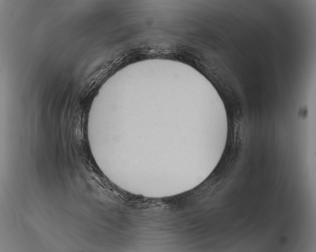 X0000115601250200912081105