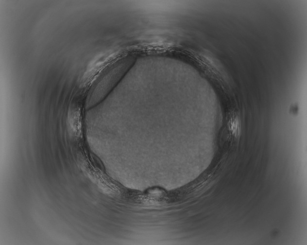 X0000115601252200912081105