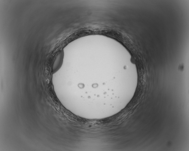 X0000115601253200912081105