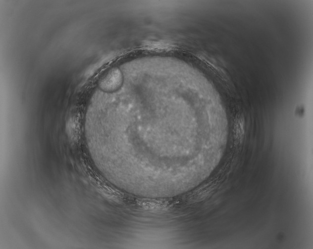 X0000115601254200912081105