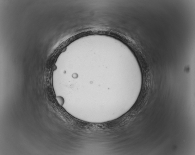 X0000115601255200912081105