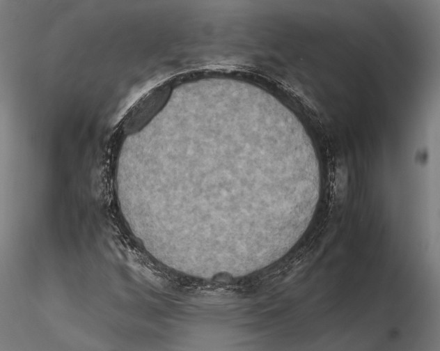 X0000115601256200912081105