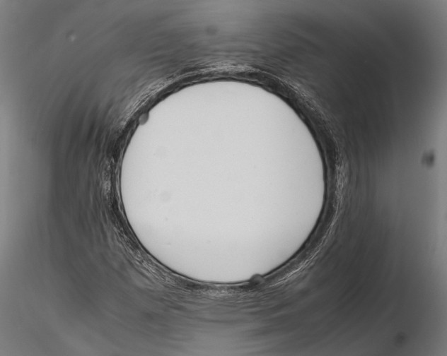 X0000115601257200912081105