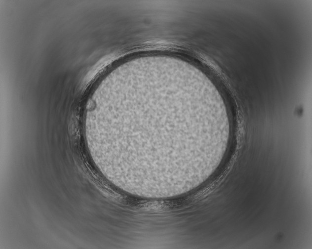 X0000115601259200912081105