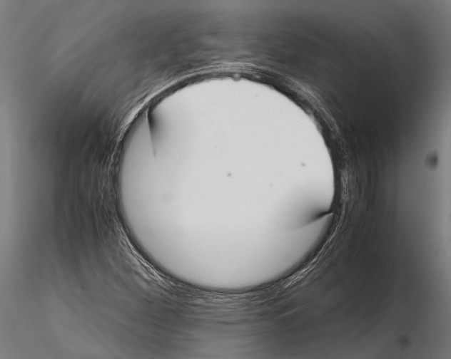 X0000115601260200912081105