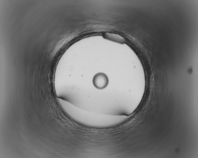 X0000115601261200912081105