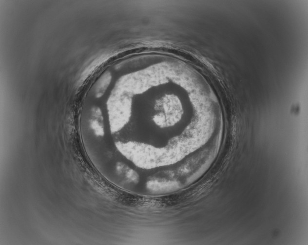 X0000115601263200912081105