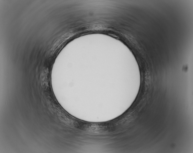 X0000115601265200912081105