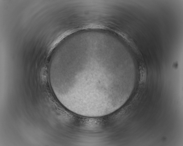 X0000115601266200912081105