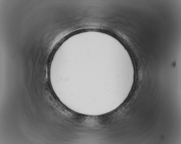 X0000115601267200912081105