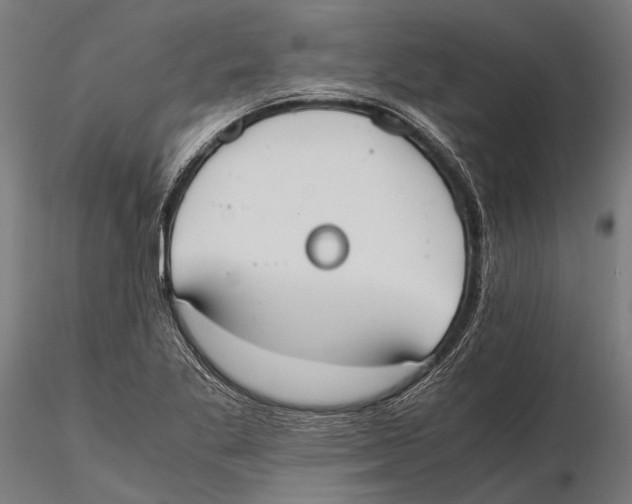 X0000115601269200912081105