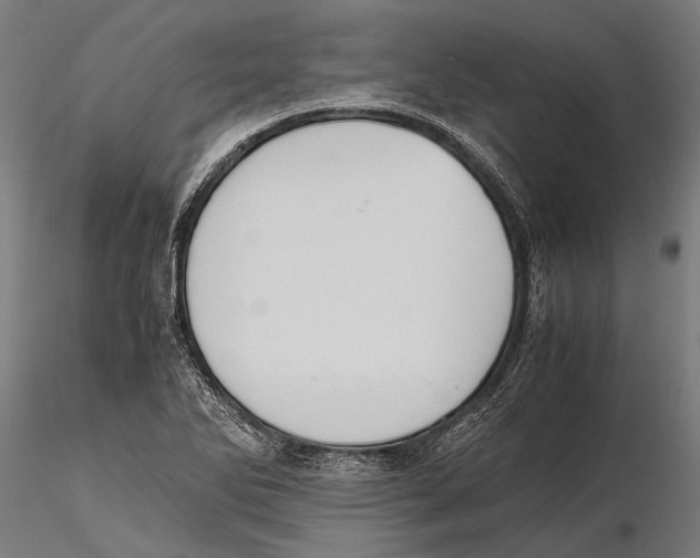 X0000115601270200912081105