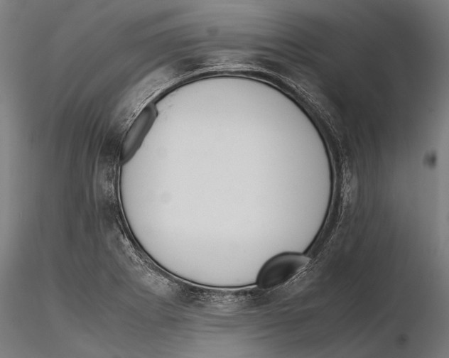 X0000115601273200912081105