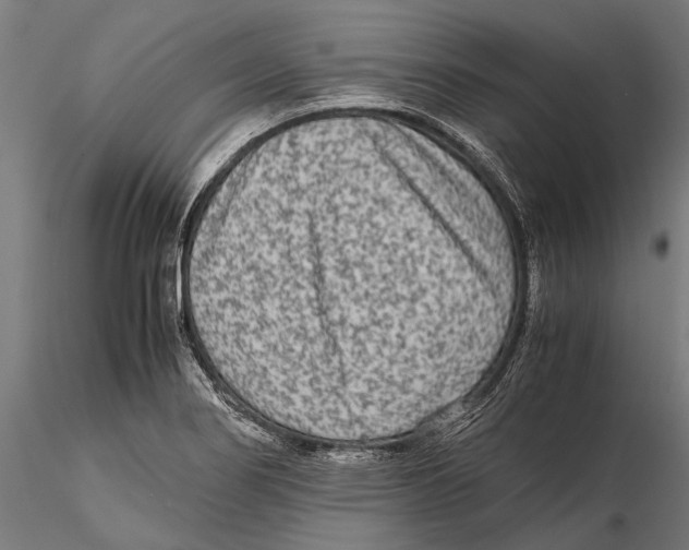 X0000115601274200912081105