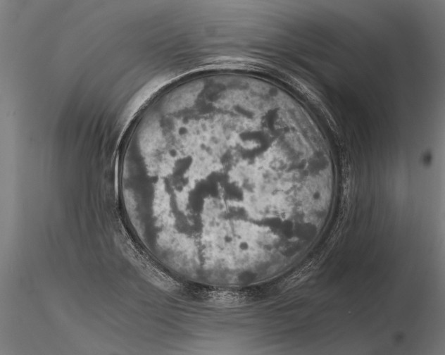 X0000115601275200912081105