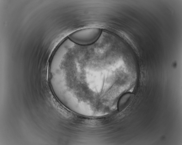 X0000115601276200912081105