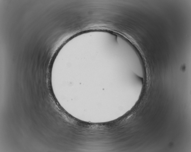 X0000115601277200912081105