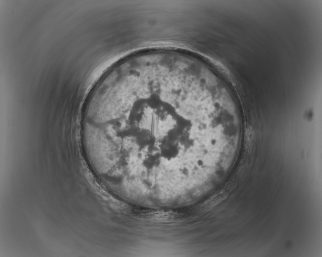 X0000115601279200912081105