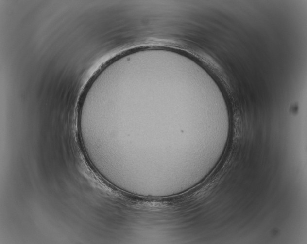 X0000115601280200912081105