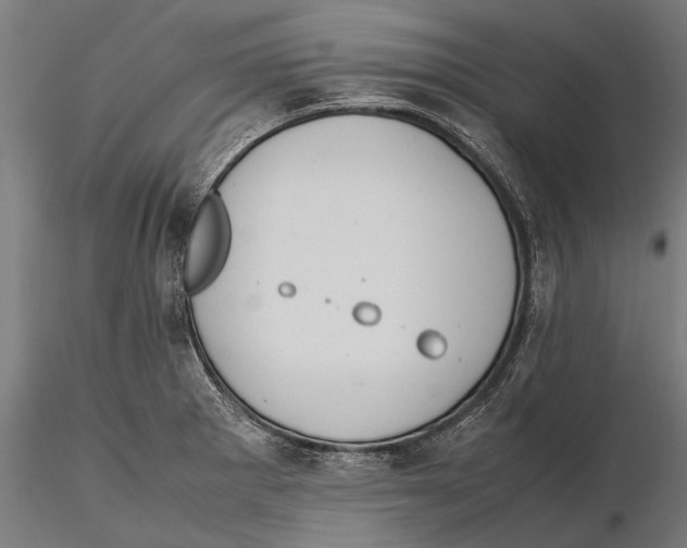 X0000115601281200912081105