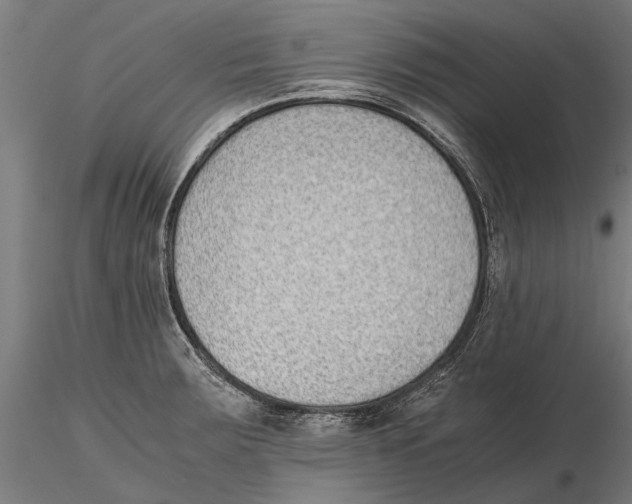 X0000115601283200912081105