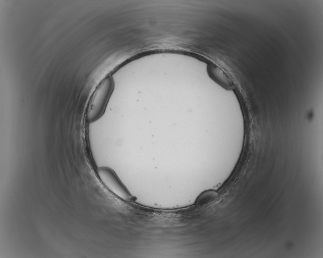 X0000115601285200912081105