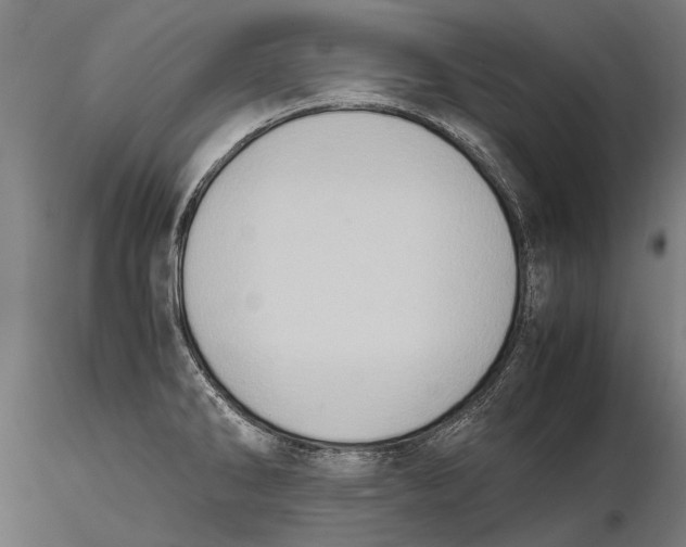 X0000115601286200912081105