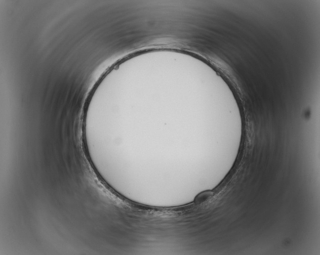 X0000115601288200912081105